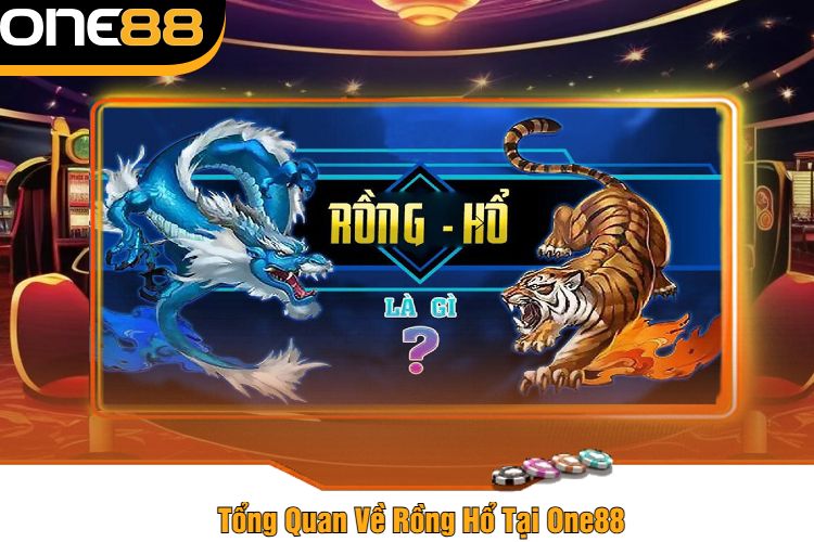 Tổng Quan Về Rồng Hổ Tại One88